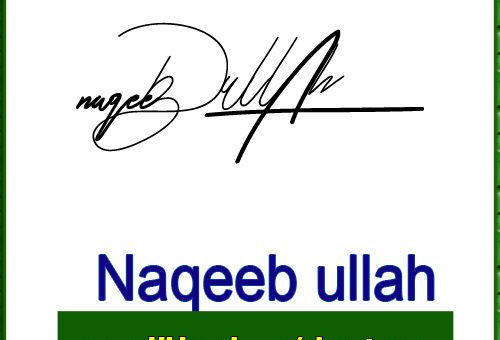Naqeeb ullah handwritten signature