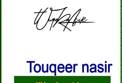 TOUQEER nasir handwritten signature