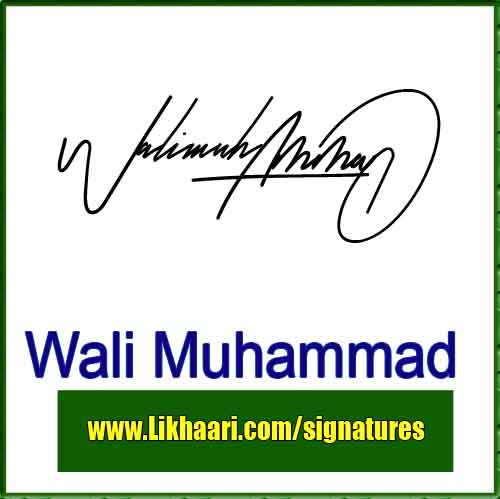 wali muhammad signature