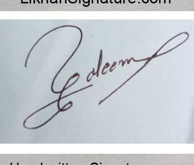 saleem fancy Handwritten Signature