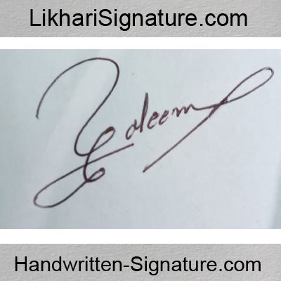 saleem fancy Handwritten Signature