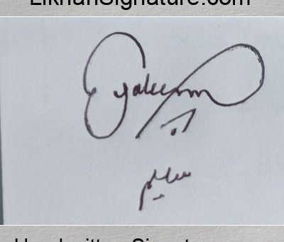 saleem Handwritten Signature