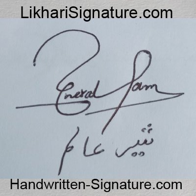 sher-alam Handwritten Signature