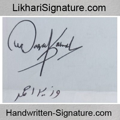 wazeer-ahmed best Handwritten Signature