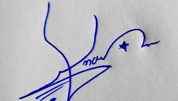 Anas Signature Styles