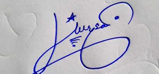 Hussian Signature Styles
