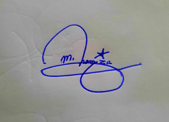 M Hamza Name Signature Style